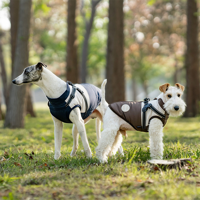 Warm hondenvest met ingebouwd  - Winter Clothing Line recensie en prijs