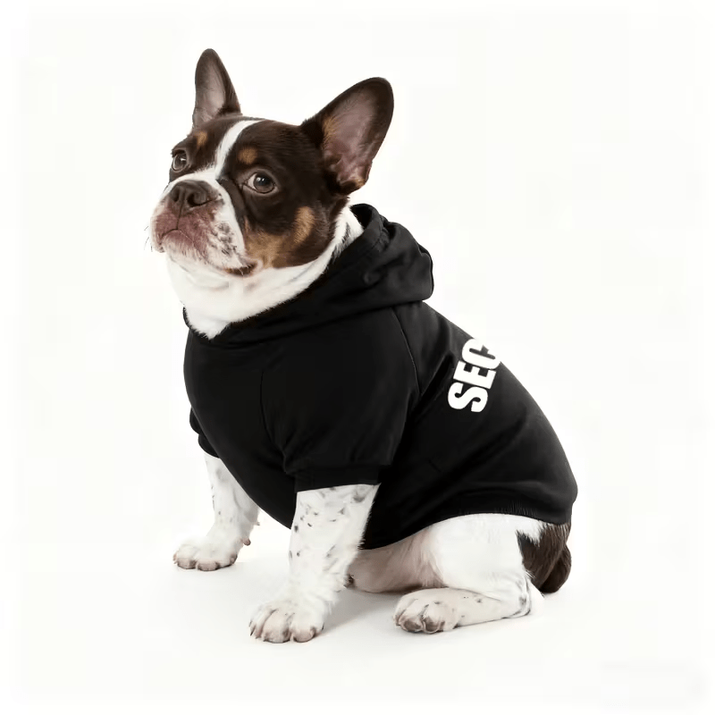 Trui met capuchon voor kleine  - Winter Clothing Line recensie en prijs