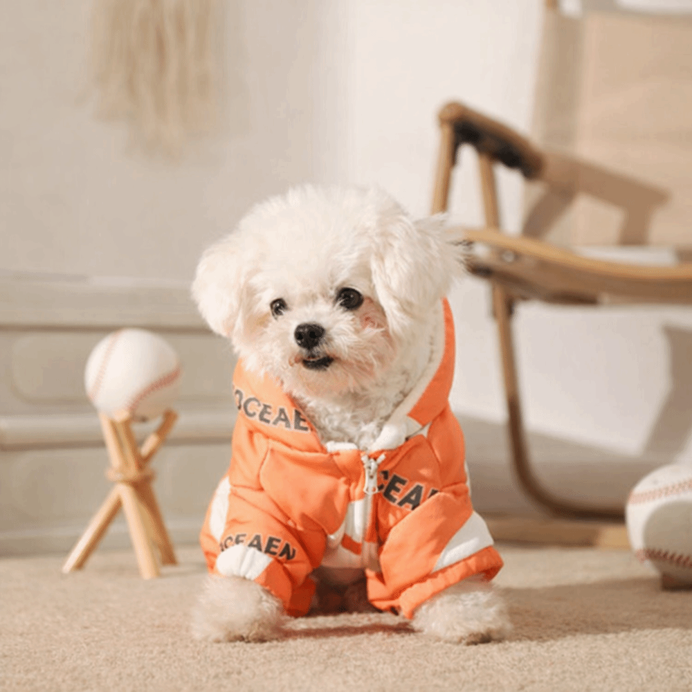 Leuke warme winterkleding voor - Winter Clothing Line recensie en prijs