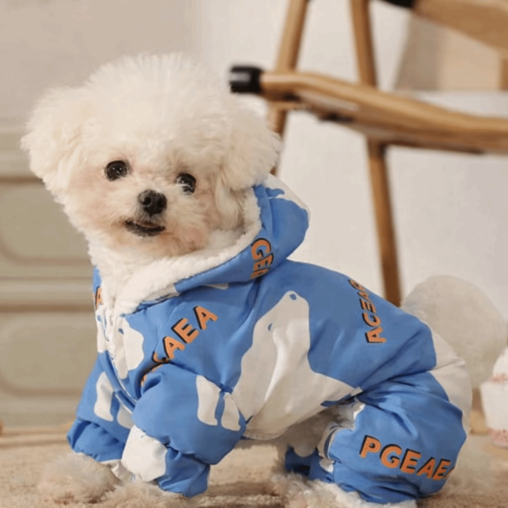 Leuke warme hondenwinterkledin - Winter Clothing Line recensie en prijs